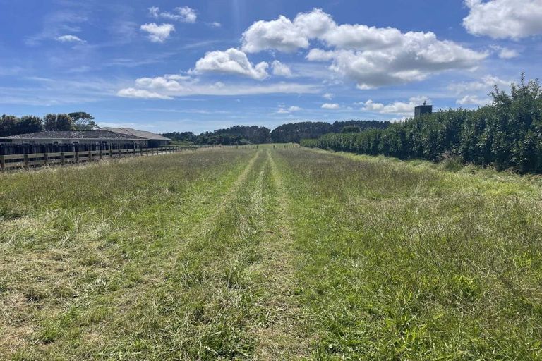 Photo of property in 187 Smart Road, Hillsborough, New Plymouth, 4372