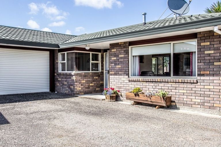 Photo of property in 16b Manchester Street, Levin, 5510