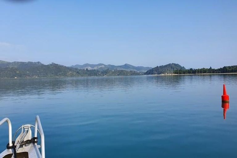 Photo of property in 116 Ti Kouka Crescent, Matarangi, Whitianga, 3592