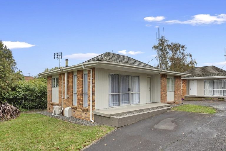 Photo of property in 50a Alison Street, Hamilton Lake, Hamilton, 3204
