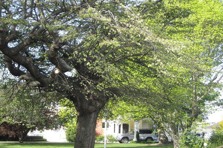 Photo of property in 72 Murphys Road, Springlands, Blenheim, 7201