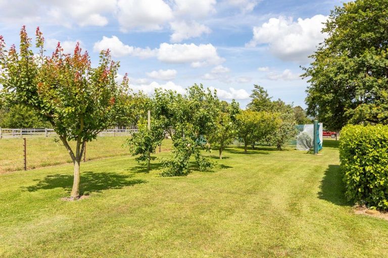 Photo of property in 69 Sowry Road, Woodville, 4920