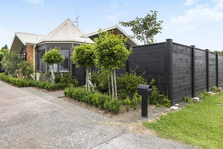 Photo of property in 47b Vogel Street, Cambridge, 3434