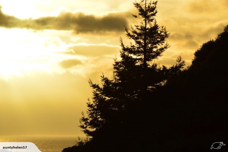 Photo of property in 103 Campbell Street, Thames, 3500