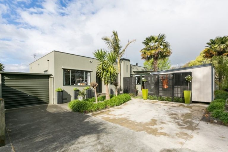 Photo of property in 54 Osier Road, Greenmeadows, Napier, 4112