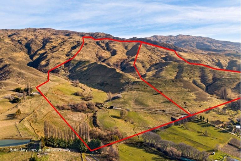 Photo of property in 236 Warburton Crescent, Te Awamutu, 3800