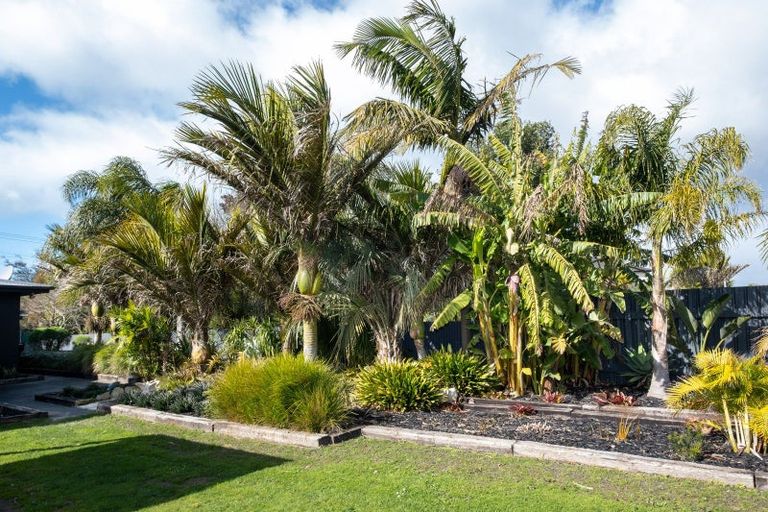 Photo of property in 245 Riverbend Road, Meeanee, Napier, 4110