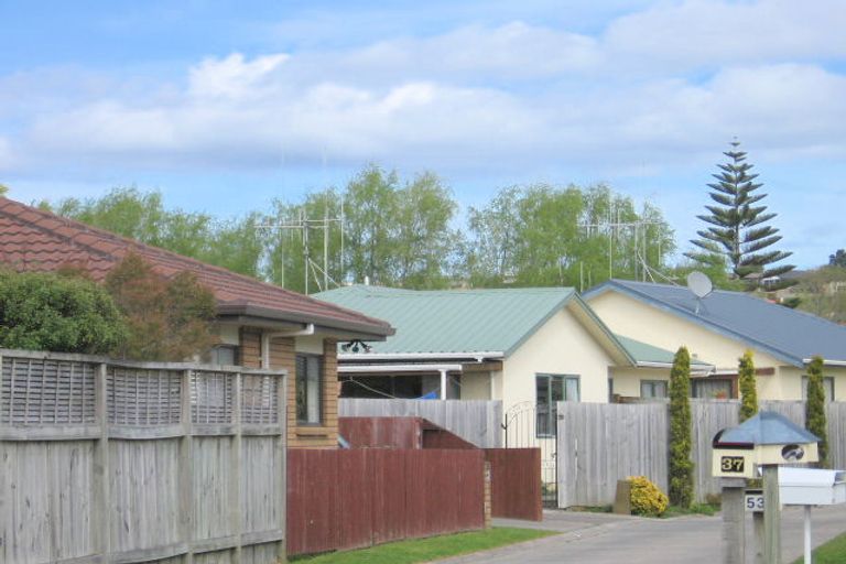 Photo of property in 41 Solomon Street, Brookfield, Tauranga, 3110