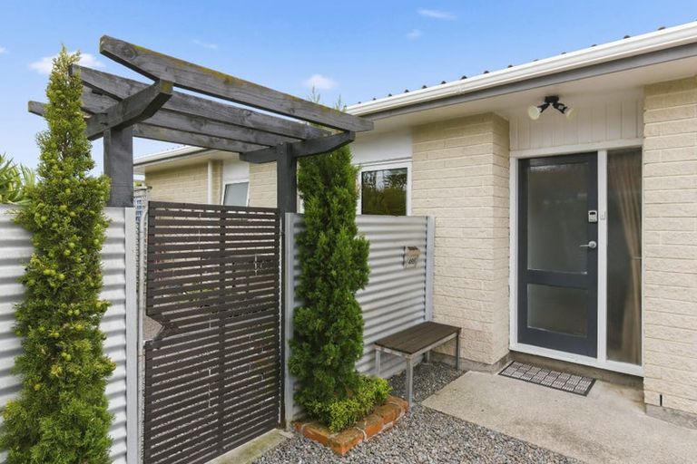 Photo of property in 49a Olive Terrace, Paraparaumu Beach, Paraparaumu, 5032