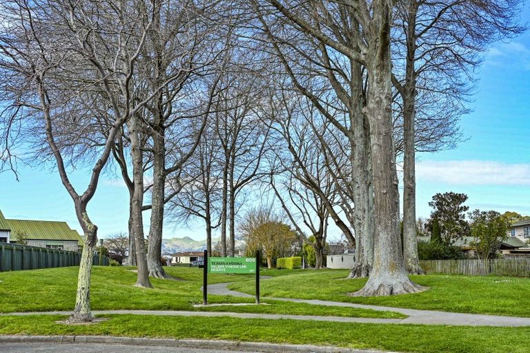 Photo of property in 8 Palmer Place, Parkvale, Hastings, 4122