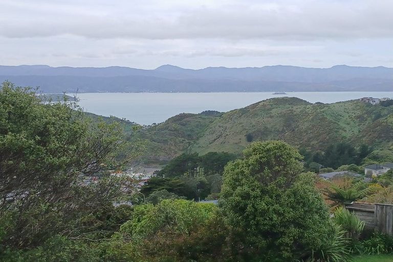 Photo of property in 46 Rajkot Terrace, Broadmeadows, Wellington, 6035