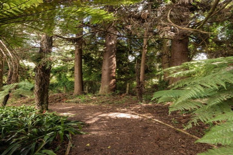 Photo of property in 60 Victoria Street, Waikino, Waihi, 3682