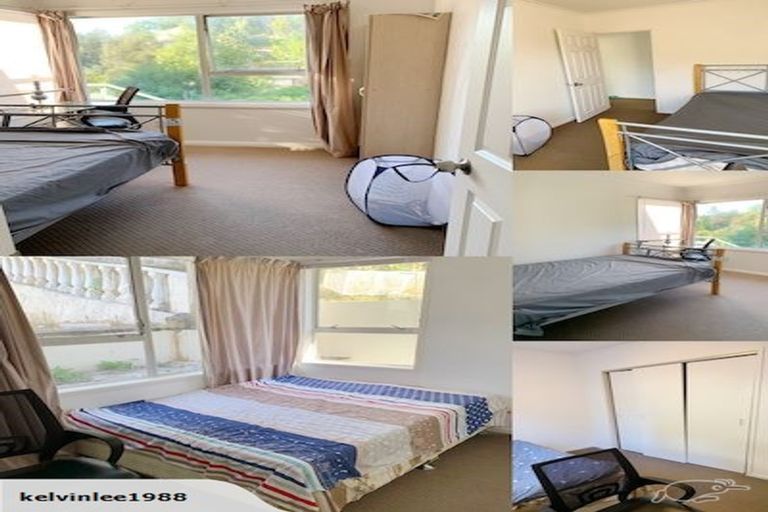 Photo of property in 81 Ayton Drive, Totara Vale, Auckland, 0629