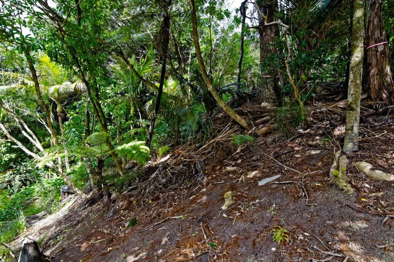 Photo of property in 42 Tanekaha Road, Titirangi, Auckland, 0604