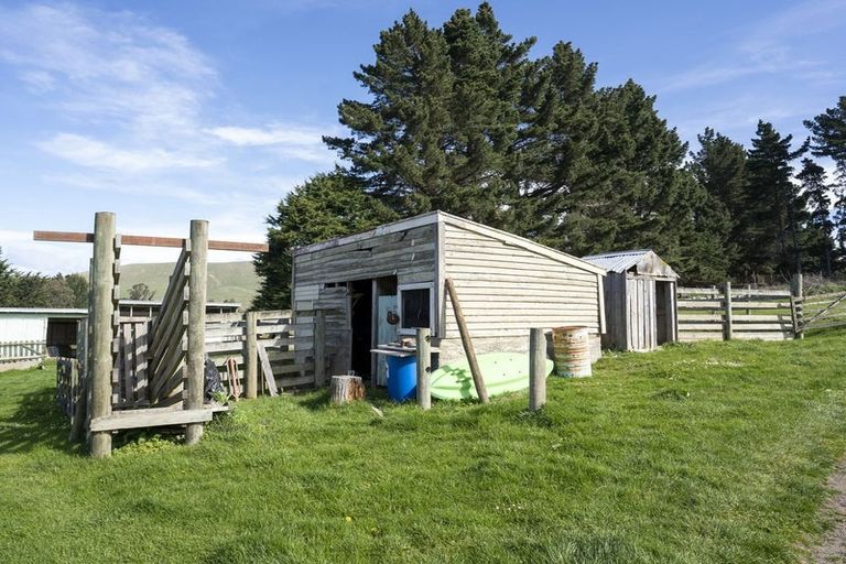 Photo of property in 42 Falcon Street, Palmerston, 9430