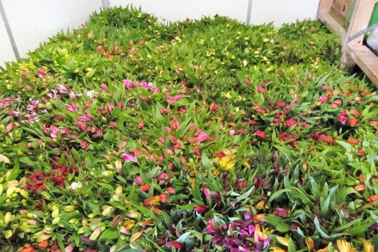 Photo of property in 1066 Egmont Road, Egmont Village, New Plymouth, 4372