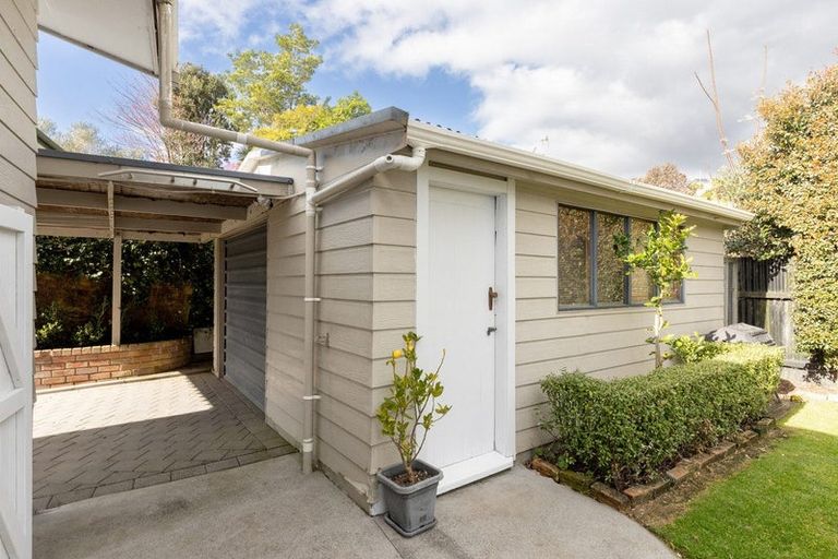 Photo of property in 46b Jonathon Street, Brookfield, Tauranga, 3110