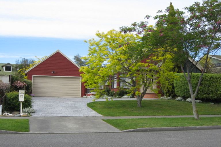 Photo of property in 12 Brooklyn Drive, Redwoodtown, Blenheim, 7201