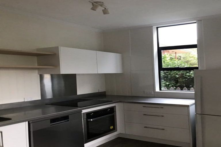 Photo of property in 25 Ross Street, Roslyn, Dunedin, 9010