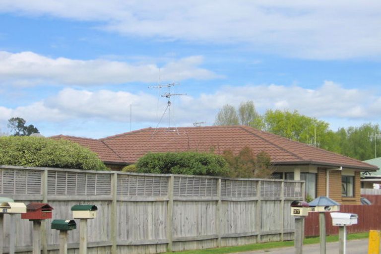Photo of property in 39 Solomon Street, Brookfield, Tauranga, 3110