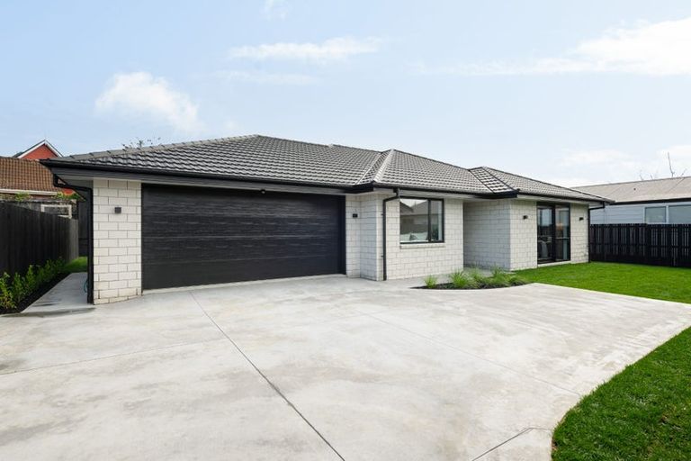 Photo of property in 20b Tattersfield Place, Dinsdale, Hamilton, 3204