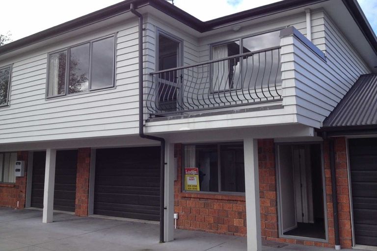 Photo of property in 217c Killarney Road, Frankton, Hamilton, 3204