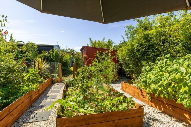 Photo of property in 20 Kenny Street, Waihi, 3610