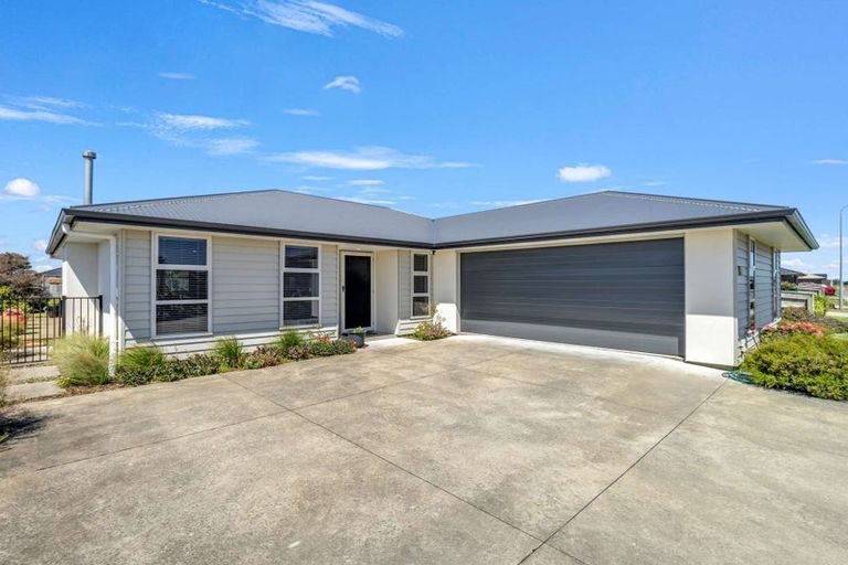 Photo of property in 17 Morrell Street, Tawhero, Whanganui, 4501