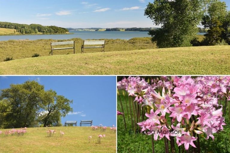 Photo of property in 45 Barlow Lane, Matakohe, 0594