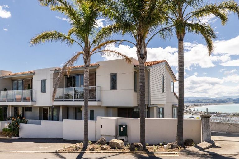 Photo of property in Northridge Apartments Stage Z, 12/22 Hospital Terrace, Hospital Hill, Napier, 4110