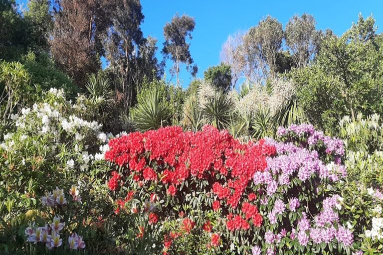 Photo of property in 10 Selwyn Parade, Lyttelton, 8082