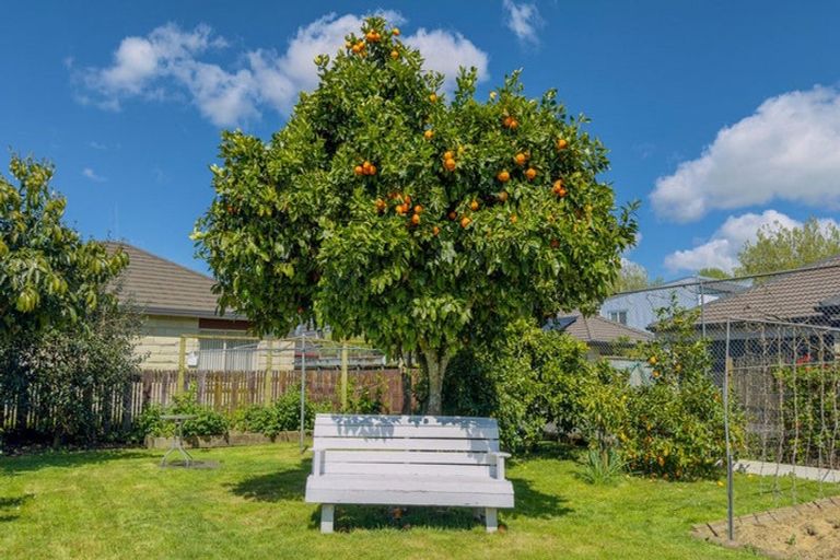 Photo of property in 11 Miro Street, Matamata, 3400