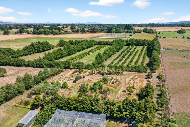 Photo of property in 277 Upper Plain Road, Upper Plain, Masterton, 5888