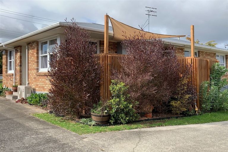 Photo of property in 11 Cameron Road, Te Puke, 3119