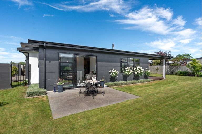 Photo of property in 19 Plains Avenue, Masterton, 5810
