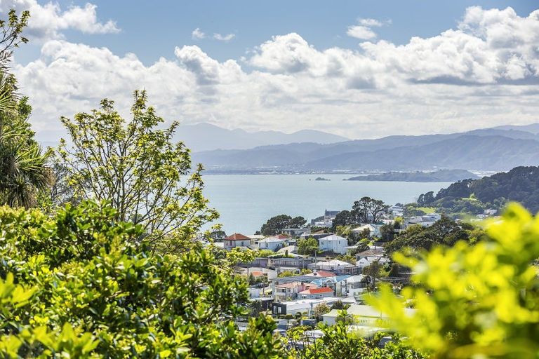 Photo of property in 123 Mitchell Street, Brooklyn, Wellington, 6021