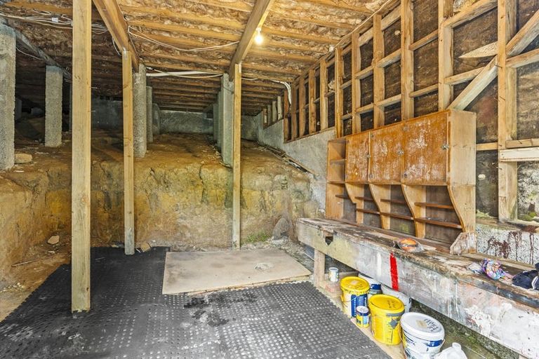 Photo of property in 207 Elgin Road, Balaclava, Dunedin, 9011