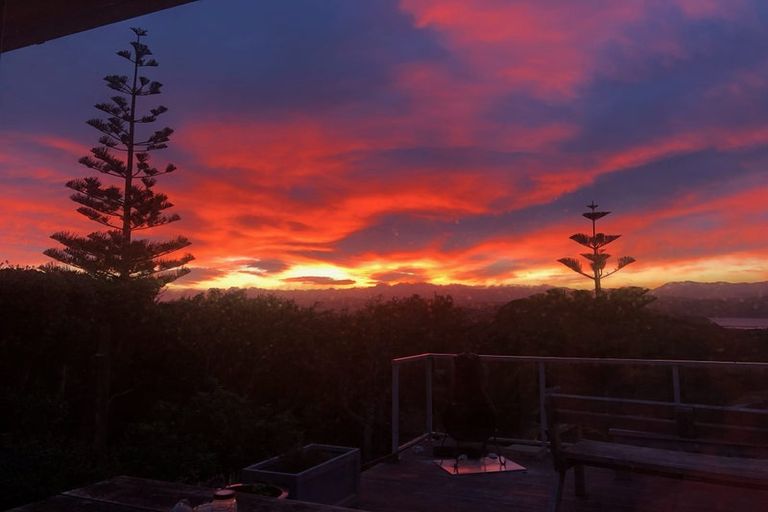 Photo of property in 181 Buckley Road, Southgate, Wellington, 6023