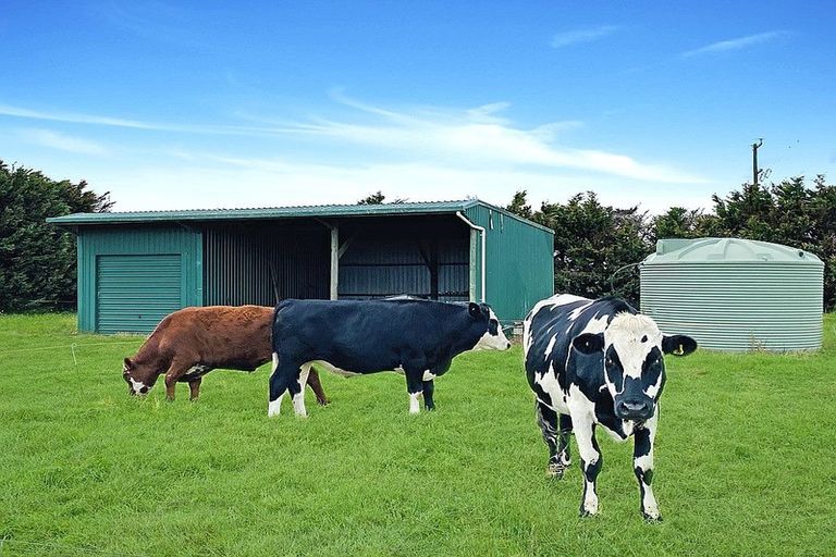 Photo of property in 264 Lodore Road, Okaihau, 0475