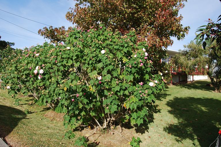 Photo of property in 1845 State Highway 1, Kaiwaka, 0573