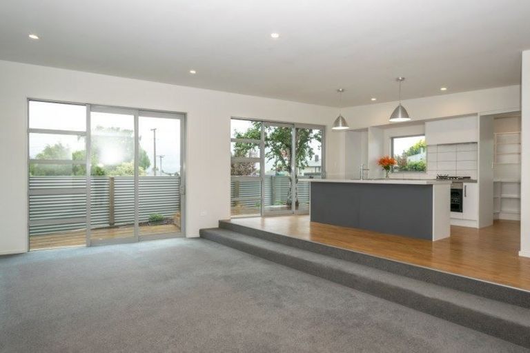 Photo of property in 59 Inkerman Street, Renwick, 7204