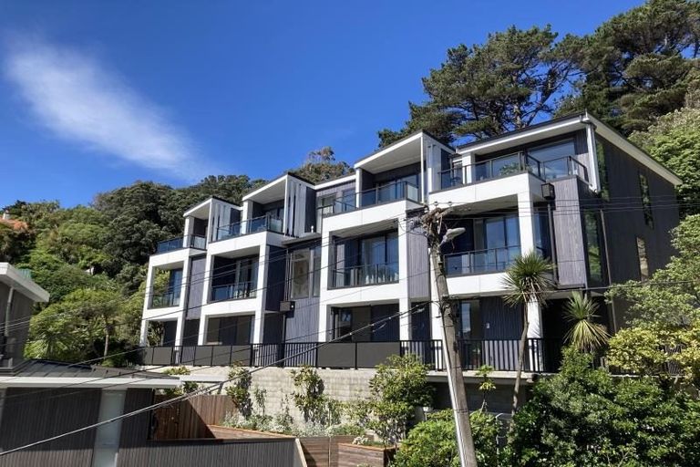 Photo of property in 1f Wilkinson Street, Oriental Bay, Wellington, 6011