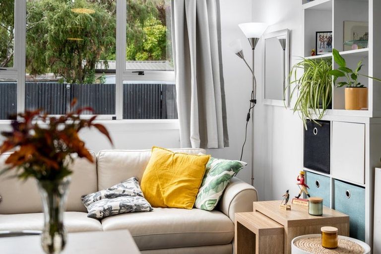 Photo of property in 9b Oudenarde Street, Renwick, 7204