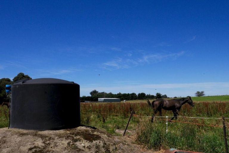 Photo of property in 192 Waihao Back Road, Waimate, 7979