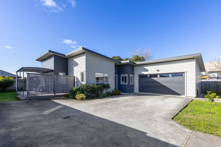 Photo of property in 52a Mako Mako Road, Levin, 5510