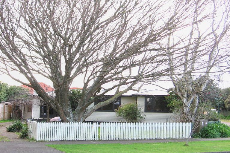 Photo of property in 91 Fitzroy Street, Terrace End, Palmerston North, 4410