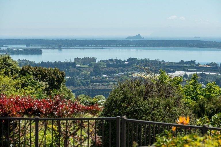 Photo of property in 16 Dawn View Place, Minden, Tauranga, 3176