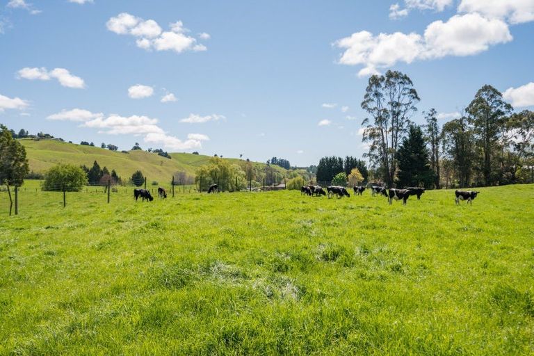 Photo of property in 322 Eighty Eight Valley Road, Eighty Eight Valley, Wakefield, 7095