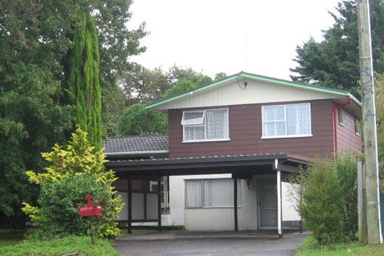 Photo of property in 75a Sturges Road, Henderson, Auckland, 0612