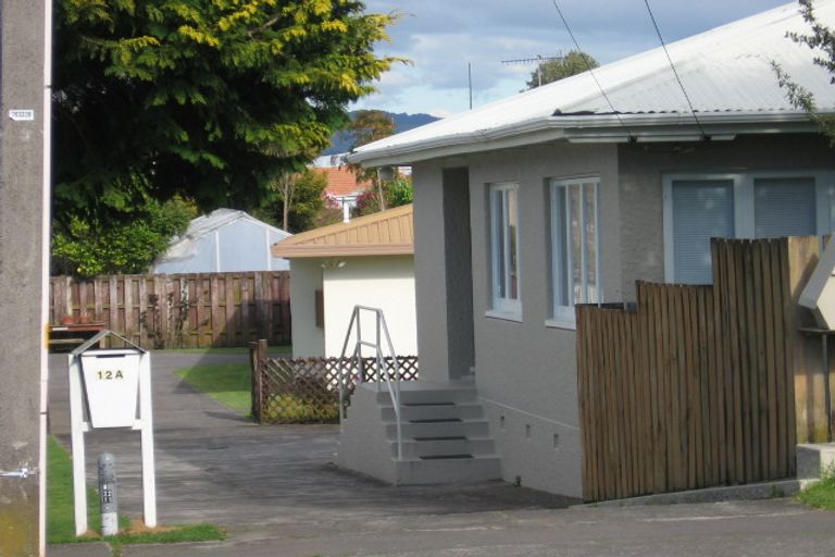 Photo of property in 12a Watling Street, Gate Pa, Tauranga, 3112